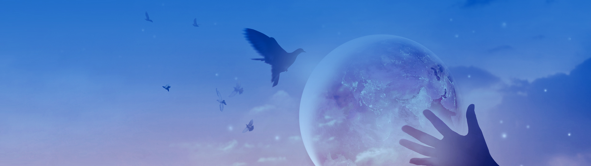 威客电竞·(中国)VKGAME